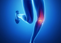 What Is The Average ACL Injury Recovery Time After A Surgery?