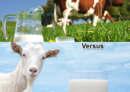 Cow Milk vs Goat Milk – Which Is Healthier To The Body?
