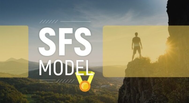 What helped me achieve Success, SFS model (Certificate)
