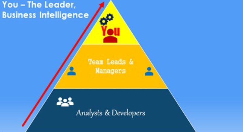 Real World Software Leadership & Problemløsning i BI