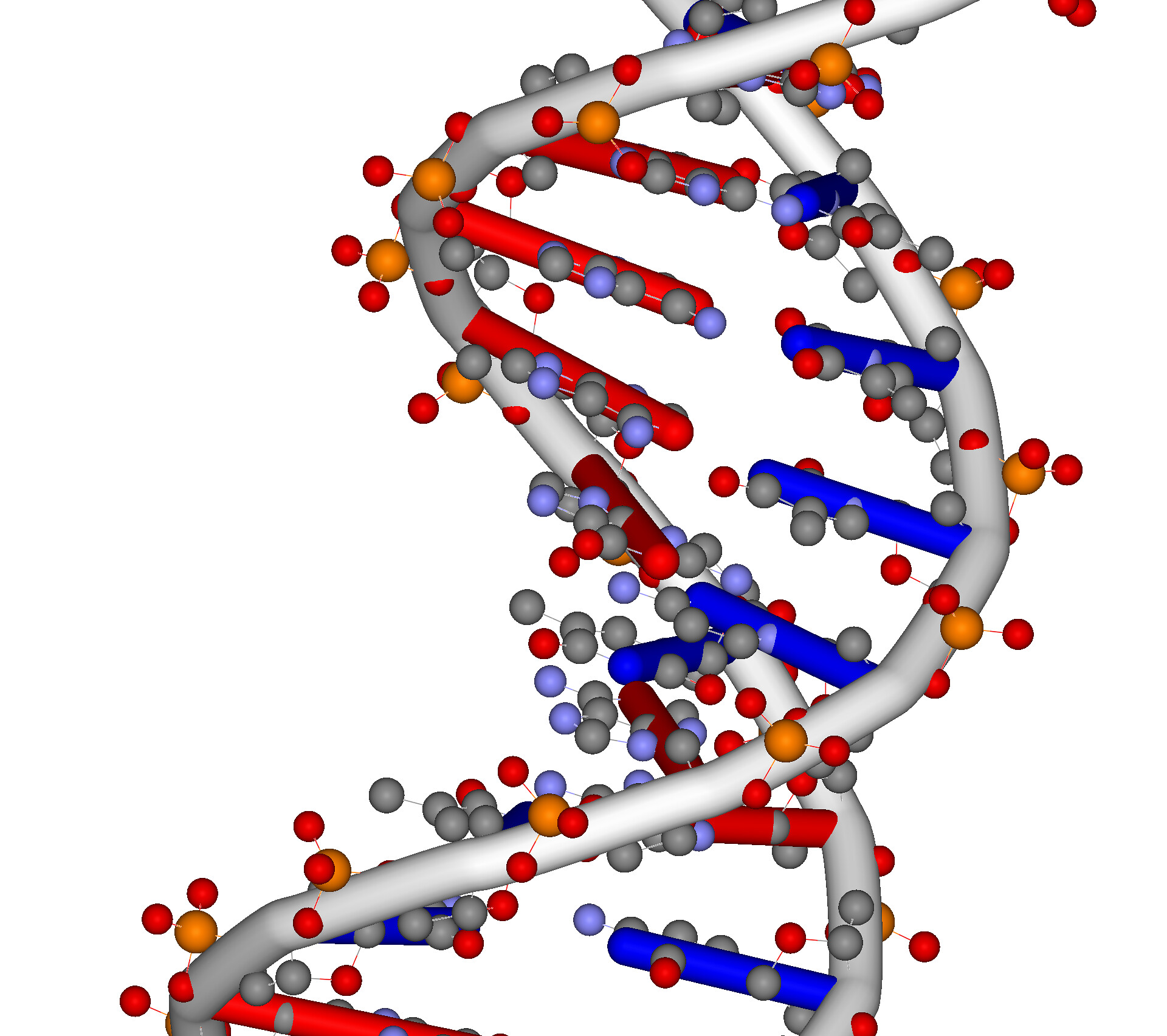 Биология нуклеиновые кислоты РНК. Молекула нуклеиновой кислоты. Нуклеиновые кислоты ДНК. Молекул нуклеиновых кислот ДНК. Биополимеры рнк